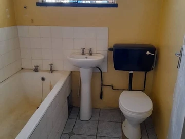 Flat & Apartment
