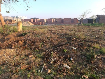 Stands & Residential Land